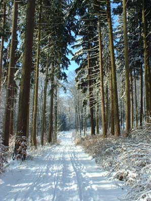 Winterweg Süntel